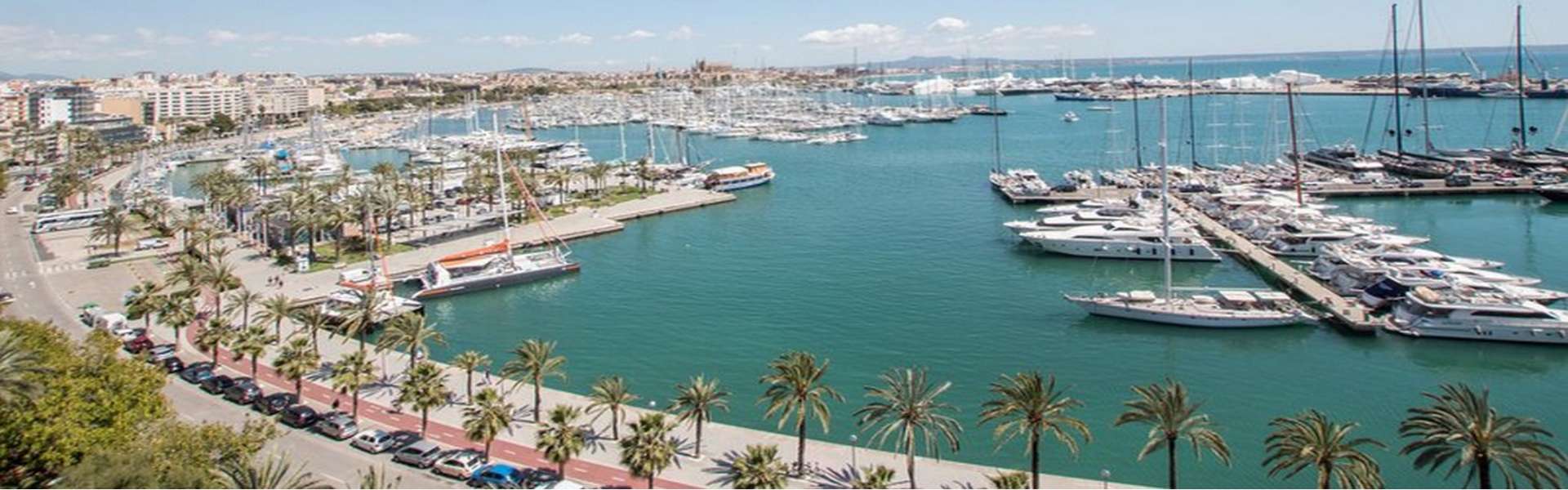Palma/Paseo Marítimo - Apartamento con vistas panorámicas al mar y a la catedral